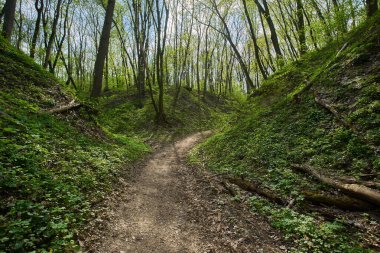 Toprak bir patika, yemyeşil bir vadi boyunca esiyor. Dik yamaçlar bitki örtüsüyle kaplı..