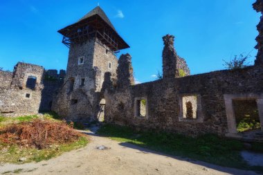 Nevitsky Kalesi 'nin kalıntıları. Uzhgorod Ukrayna
