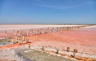 Pembe tuz gölü, muhtemelen Sasyk-Syvash, suya uzanan aşınmış ahşap direklerle..