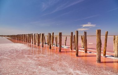 Pembe tuz gölü, muhtemelen Sasyk-Syvash, suya uzanan aşınmış ahşap direklerle..