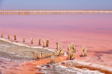 Yıpranmış ahşap bir sıra açık mavi gökyüzü altında canlı bir pembe tuz gölüne (muhtemelen Lemuria Gölü veya Sasyk-Syvash Gölü) uzanır..