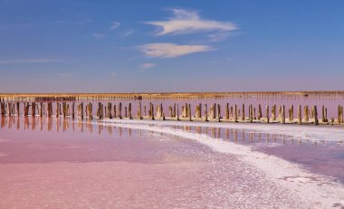 Uçsuz bucaksız, pembe tuzlu göl mavi gökyüzünün altında ince bulutlu.