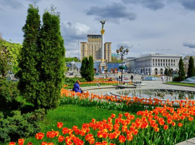 Ukrayna 'nın başkenti Kyiv' deki Independence Anıtı ve Meydan Nezalezhnosti 'deki (Bağımsızlık Meydanı) Ukrayna Oteli' nin önünde canlı kırmızı lalelerden oluşan bir yatak..
