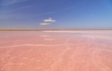 Uçsuz bucaksız, pembe tuz gölü mavi gökyüzünün altında..