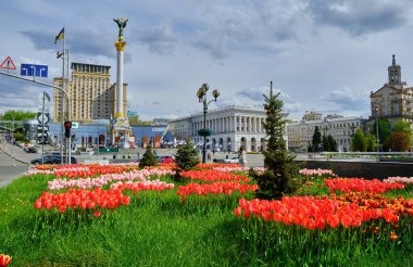 Ukrayna 'nın başkenti Kyiv' deki Independence Anıtı ve Meydan Nezalezhnosti 'deki (Bağımsızlık Meydanı) Ukrayna Oteli' nin önünde canlı kırmızı lalelerden oluşan bir yatak..