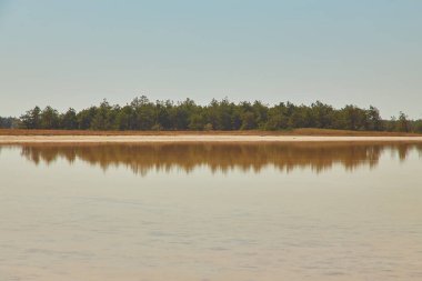 Sığ, sakin bir tuz gölü uzak ormanı ve gökyüzünü yansıtıyor, kıyı boyunca dokulu tuz birikintileri var..