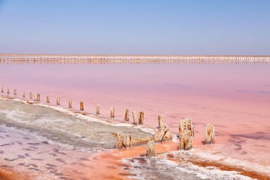 Pembe tuz gölü (muhtemelen Lemuria Gölü, Syvash ya da Sasyk-Syvash) suya uzanan ahşap direkler ile birlikte..