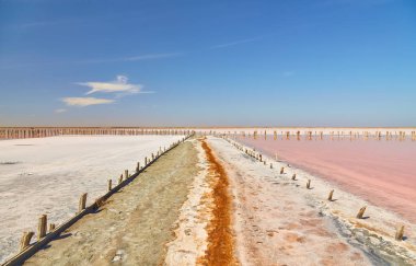 Toprak bir yol açık mavi gökyüzünün altında canlı pembe bir tuz gölü ayırır..