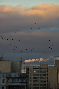 Bir fabrika bacası, şehir binalarının üzerine bulutlarla dolu dramatik gökyüzü ile çelişen beyaz duman yayar. Endüstriyel sahne, kentsel yaşamın ve çevresel etkinin özünü yakalıyor..