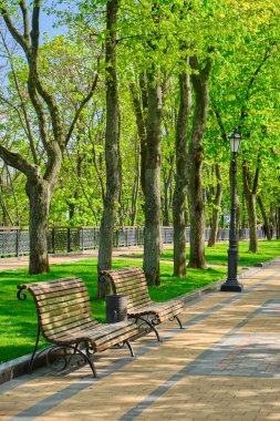Parkın içinde ağaçlar, banklar ve sokak lambalarıyla kaplı asfalt bir yol. Görüntü huzurlu ve davetkar bir atmosfer olduğunu gösteriyor..