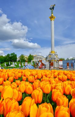 Ukrayna 'nın başkenti Kyiv' de bulunan Meydan Nezalezhnosti 'deki (Bağımsızlık Meydanı) Bağımsızlık Anıtı' nın önünde turuncu lalelerden oluşan canlı bir yatak çiçek açıyor..