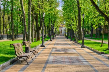 A paved pathway lined with trees, benches, and street lamps in a park. The image suggests a peaceful and inviting atmosphere.