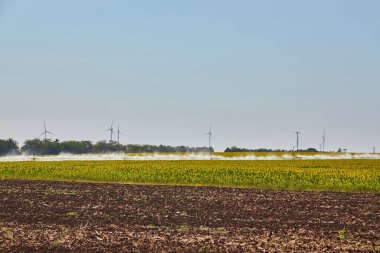Güçlü bir sulama sistemi, uzak mesafede rüzgar türbinleri olan ayçiçeği tarlasına su püskürtüyor..