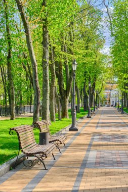 Parkın içinde ağaçlar, banklar ve sokak lambalarıyla kaplı asfalt bir yol. Görüntü huzurlu ve davetkar bir atmosfer olduğunu gösteriyor..