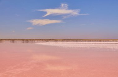 Uçsuz bucaksız, pembe tuzlu göl mavi gökyüzünün altında ince bulutlu.