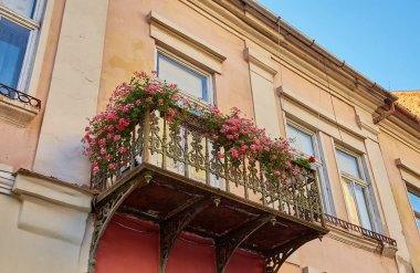 Balkon apartament güzel kırmızı çiçekler. Ev veya daire çiçek kompozisyon dekorasyon.