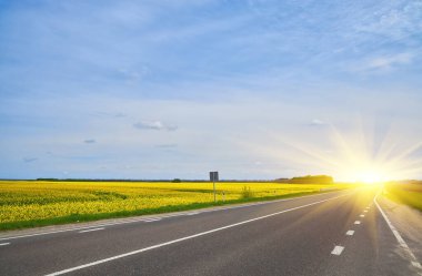 Boş bir asfalt yol, parlak bir gökyüzünün altında parlak sarı bir kolza tohumu tarlasının içinden geçiyor..