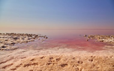 Parlak pembe su ile tuz gölünün dokulu, tuzlu kıyı şeridi arasındaki çarpıcı tezat..