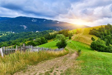 Bulutlu bir gökyüzünün altındaki katmanlı tepelere ve ormanlara tepeden bakan çimenli bir dağ sırtı boyunca uzanan toprak bir yolun manzarası. İskoçya manzarası.
