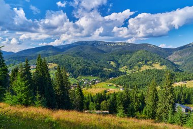Yeşil vadilerde ve mavi bulutların altında ormanlık tepelerde yuva yapmış uzun bir çam ağacıyla manzaralı dağ manzarası..