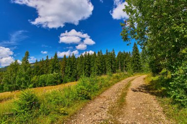 Geleneksel konik saman yığını ağaçlarla benekli çimenli bir dağ yamacında duruyor. Arka planda, bulutlu bir gökyüzünün altında görünen orman tepeleri. Kırsal yaz sahnesi.