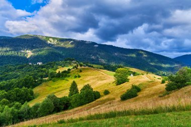 Sarı ve beyaz kır çiçekleriyle açan bir dağ çayırından manzara. Katmanlı orman tepeleri ve bulutlu bir gökyüzünün altında görülebilen uzak mesafeler. Yaz doğası.