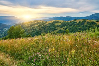 Yaban çiçekleriyle dolu bir dağ otlağından orman tepelerine ve bulutlu bir gökyüzünün altındaki uzak mesafelere bakan kırsal ahşap bir çitin üzerinden bak..