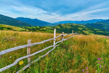 Çimlerle ve kır çiçekleriyle kaplı bir dağ çitinin yamaçtan geçişi. Orman tepeleri arka plandaki sislerden görülebilir..