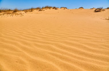 Geniş, dalgalı kum tepeleri açık mavi bir gökyüzünün altında. Minimum bitki örtüsü olan çöl manzarası.