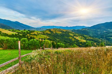 Dağ çayırından manzaralı kır çiçekleri ve kuru otlarla, kırsal ahşap bir çitin üzerinden bulutlu bir gökyüzünün altındaki ormanlık tepelere doğru bakıyor. Kırsal alan.