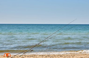 Arka planda okyanus olan kumlu bir sahilde dinlenen iki sörf çubuğu. Güneşli gün, açık mavi gökyüzü.