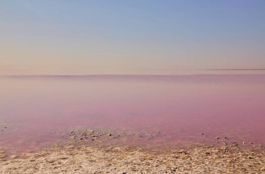 Parlak pembe su ile tuz gölünün dokulu, tuzlu kıyı şeridi arasındaki çarpıcı tezat..