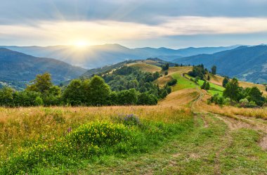 Parlak mavi gökyüzünün altında, beyaz kümülüs bulutlarıyla dolu, sık ve yeşil bir ormanın sınırında uzanan çayırlık bir yamaçtan oluşan güneşli dağ manzarası. Yaz ıssız sahnesi.