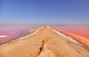 Toprak bir yol açık mavi gökyüzünün altında canlı pembe bir tuz gölü ayırır..