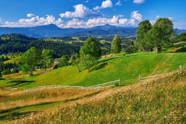 Parlak yaz günü ağaçlarla benekli yeşil tepeleri aydınlatıyor. Parlak mavi gökyüzünün altında beyaz kümülüs bulutlarıyla görülebilen uzak dağlar. Manzaralı kırsal alan.
