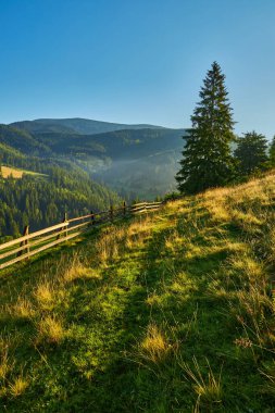 Toprak bir patikanın manzarası ve dağlarda dik bir çim yamaçtan geçen ahşap çitler. Açık mavi gökyüzünün altında görünen katmanlı orman sırtları..