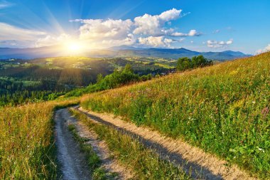 Çimen ve kır çiçekleriyle dolu güneşli bir dağ çayırında kıvrılan toprak bir patika boyunca manzara. Mavi gökyüzünün altında bulutlarla görülebilen orman tepeleri.