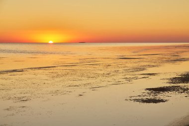 Alacakaranlıkta pembe bir tuz gölü ya da körfez manzarası, kıyı şeridi boyunca yeşil bitki örtüsüyle.