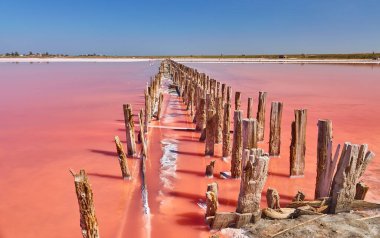 Yıpranmış ahşap bir sıra açık mavi gökyüzü altında canlı bir pembe tuz gölüne (muhtemelen Lemuria Gölü veya Sasyk-Syvash Gölü) uzanır..