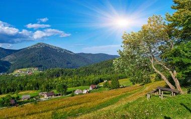 Ağaçlı ve ahşap banklı çimenli bir dağ yamacından manzaralı bir yaz manzarası, aşağıdaki vadiye yerleşmiş bir köye bakıyor. Beyaz bulutlu mavi gökyüzü.