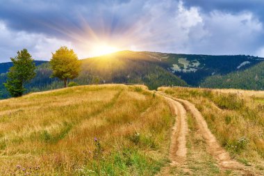 Bulutlu bir gökyüzünün altındaki katmanlı tepelere ve ormanlara tepeden bakan çimenli bir dağ sırtı boyunca uzanan toprak bir yolun manzarası. İskoçya manzarası.