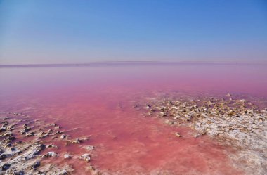 Tuz gölünün çarpıcı pembe suları ufuk çizgisiyle berrak bir gökyüzünün altında buluşur..