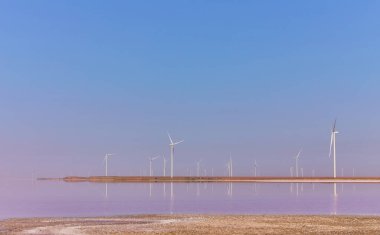 Pembe, tuzlu Syvash Gölü kıyısında açık mavi gökyüzünün altında rüzgar türbinleri.