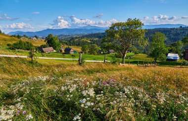 Dağ manzarası, yaban çiçeği çayırı ve kırsal ahşap çitleri aşarak yamaçlardaki geleneksel köy evlerini gösteriyor. Bulutlu bir gökyüzünün altındaki ormanlı tepeler.