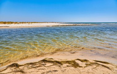 Kumsalda sığ, berrak bir su dalgaları kıyıya vuruyor. Açık mavi gökyüzü.