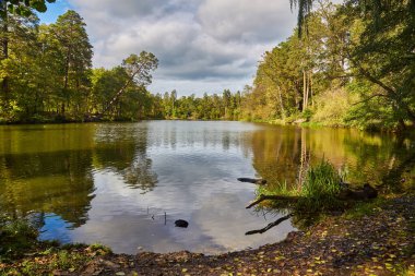 Ağlayan söğütler ve diğer yaprak döken ağaçlarla dolu bereketli bir yaz ormanıyla çevrili sakin bir göl. Sakin su dramatik bulutlu gökyüzünü yansıtır. Huzurlu bir doğa sahnesi.