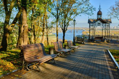 A peaceful city park alley on a sunny autumn day, featuring vintage lampposts and empty wooden benches. The ground is covered in a carpet of golden fallen leaves.