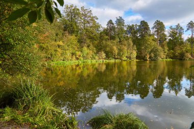 Çam ve yaprak döken ağaçlardan oluşan karışık ormanı yansıtan sakin sularla dolu sakin bir orman göleti. Yapraklar, bulutlu mavi gökyüzünün altında sonbahar renginin ilk işaretlerini gösteriyor..