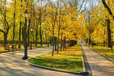 Şehir parkında geniş, asfaltlı bir gezinti yeri güneşli bir sonbahar gününün sıcak, altın ışığında yıkanır. Sokak sarı yapraklar, boş banklar ve eski sokak lambalarıyla dolu..