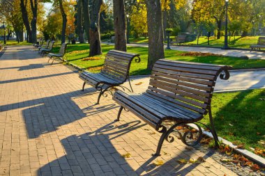 Canlı bir sonbahar parkı sahnesi, yemyeşil çimenler, boş ahşap banklar, parlak bir güneşin altında parlak sarı ve turuncu yapraklar sergilenen olgun ağaçlar..